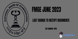 FMGE June 2023: Last Chance To Rectify Documents; Edit Window Opens At natboard.edu.in; Check Details Here